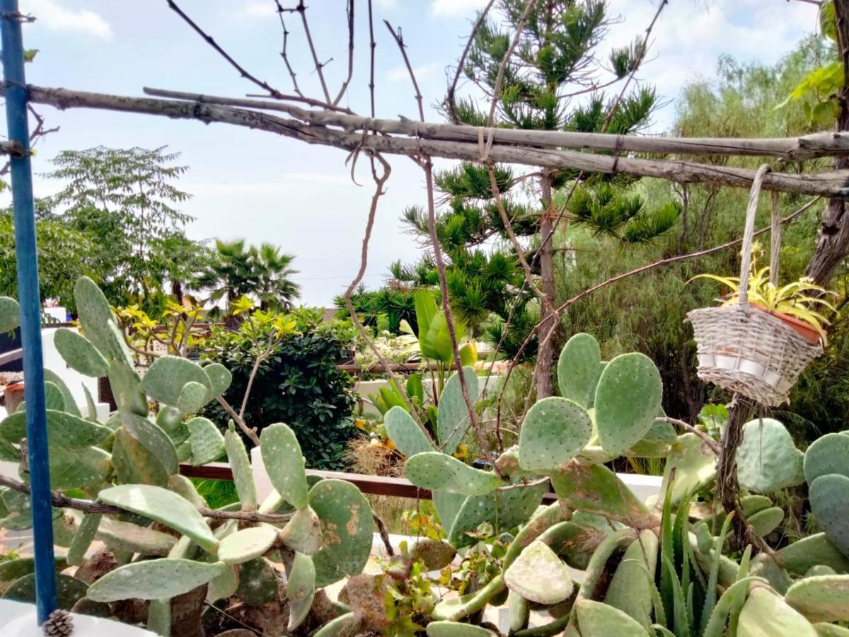 Casa De Campo Lomo Del Balo Guía de Isora Dış mekan fotoğraf